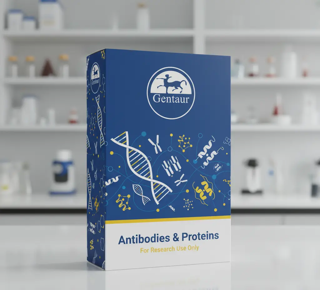 Anti-T7 RNA Polymerase antibody, 100 ul