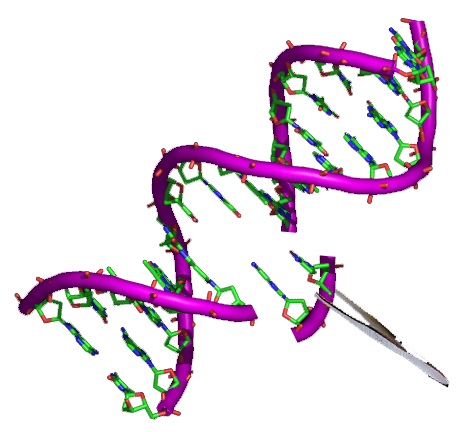 ELISA Test for Human Cross Linked C-Telopeptide Of Type II Collagen (CTXII) [Competitive Inhibition] - 10x 96 wells plate