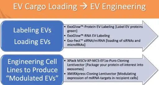 [0322-EXFT20A-1] Exo-Fect Exosome Transfection Test, 20 reactions
